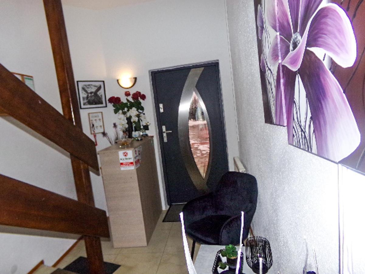 White House - Goscinne Homestay *